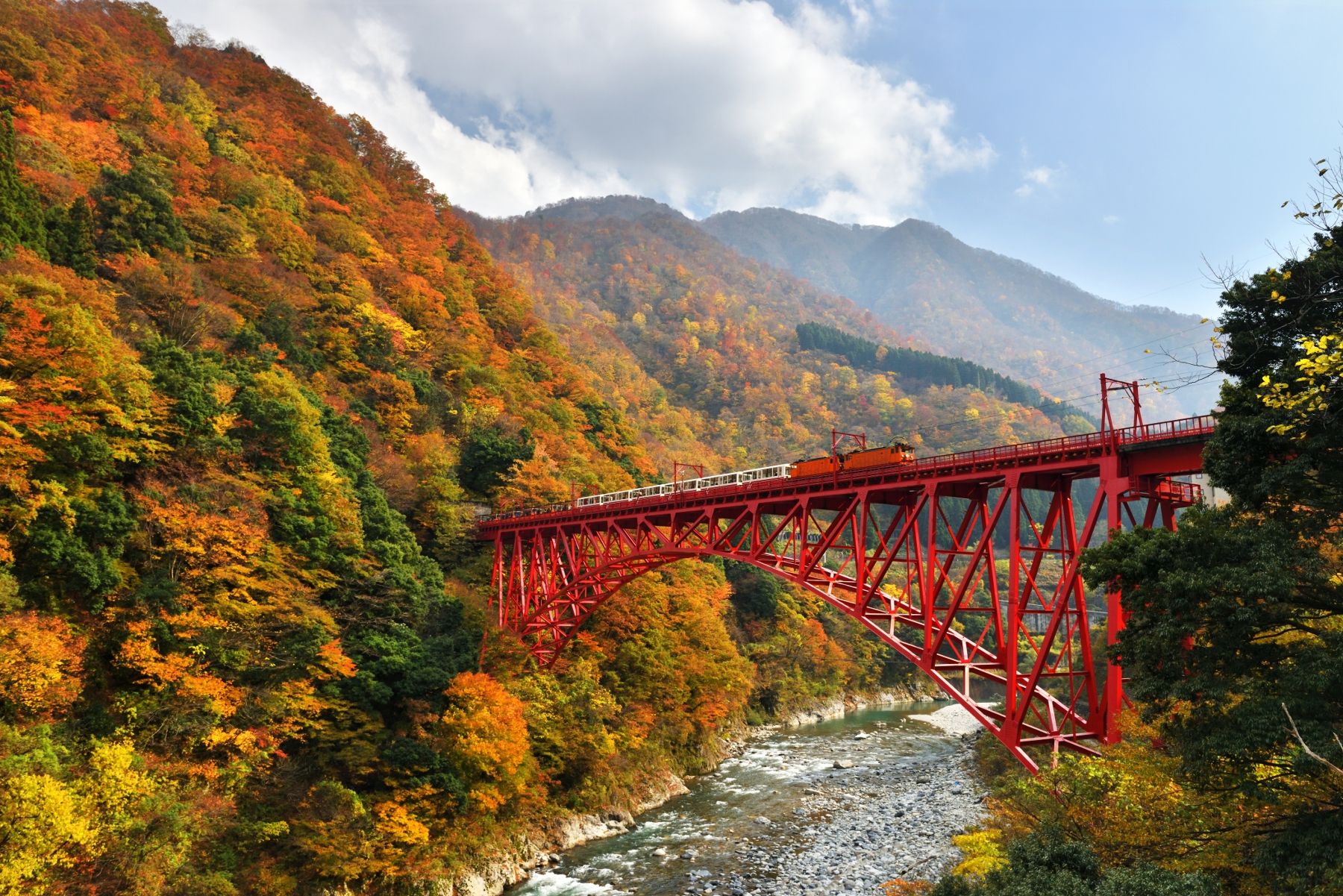 10月下旬～11月中旬頃、紅葉の黒部峡谷。例年、10月下旬から11月上旬が紅葉の見ごろ。赤、黄、緑に彩られた紅葉と黒部川のエメラルドグリーンのコントラストが絶景（写真提供：黒部峡谷鉄道）